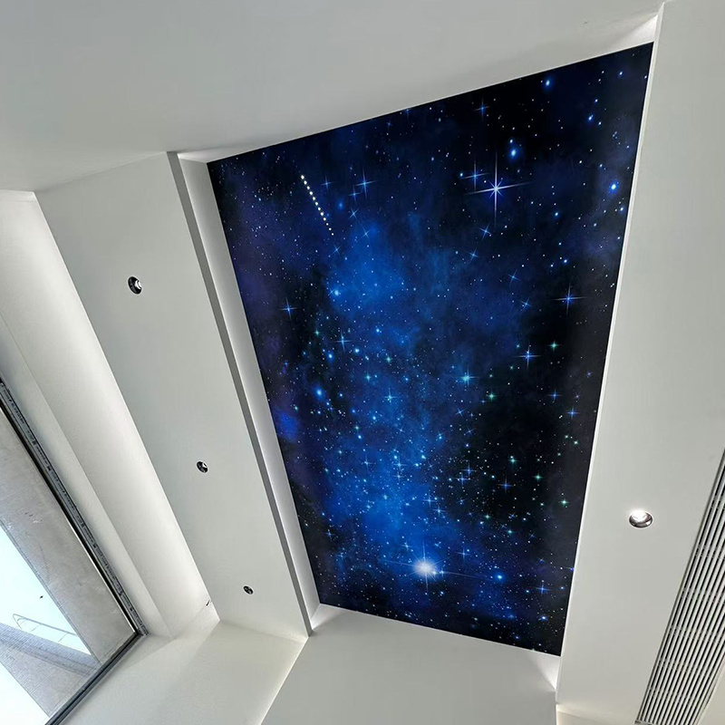 Spesonic sterrenhemel glanzende decoratie, perfect voor kinderslaapkamer, beddengoed, kamergeschenken Spesonic sterrenhemel glanzende decoratie, perfect voor kinderslaapkamer, beddengoed, kamergeschenken