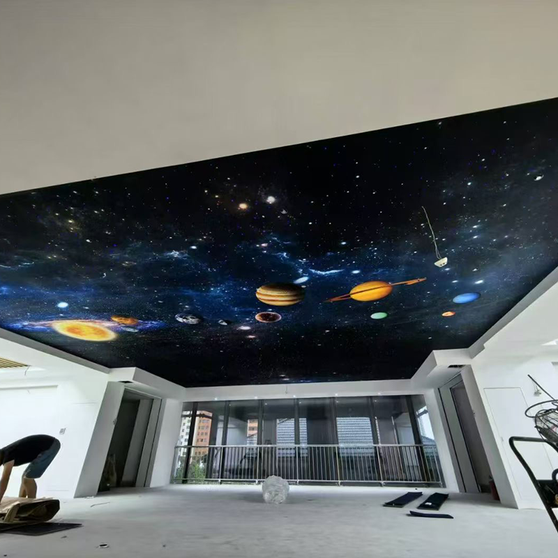 Moderne Star Top-plafondlampbalk voor KTV Audiovisuele kamer Glasvezel Sky Star Decoratieve projectorlamp Direct Moderne Star Top-plafondlampbalk voor KTV Audiovisuele kamer Glasvezel Sky Star Decoratieve projectorlamp Direct